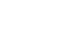 Sampo Swivels